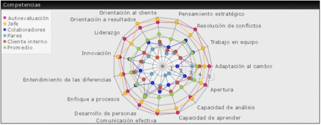 Gráfica radar evaluación 360